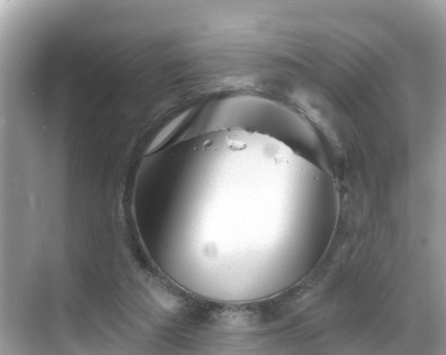 X0000068820209200605081154