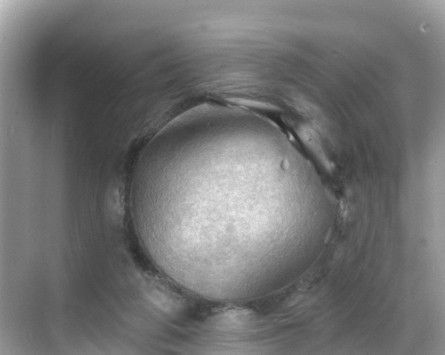 X0000068820210200605081154