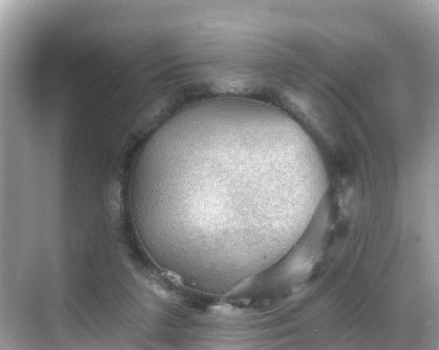 X0000068820211200605081154