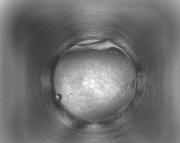 X0000068820212200605081154