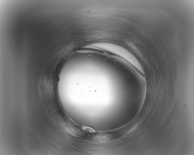 X0000068820213200605081154