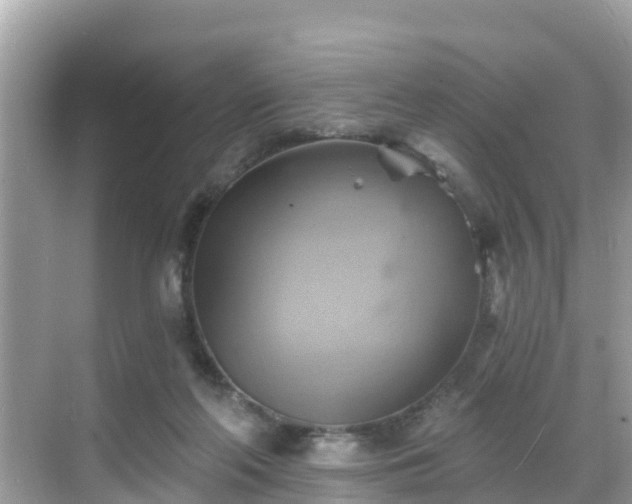 X0000068820214200605081154