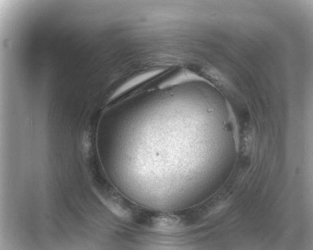 X0000068820215200605081154