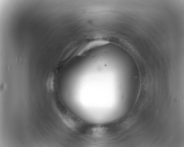 X0000068820216200605081154