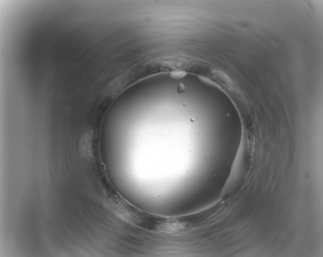 X0000068820217200605081154