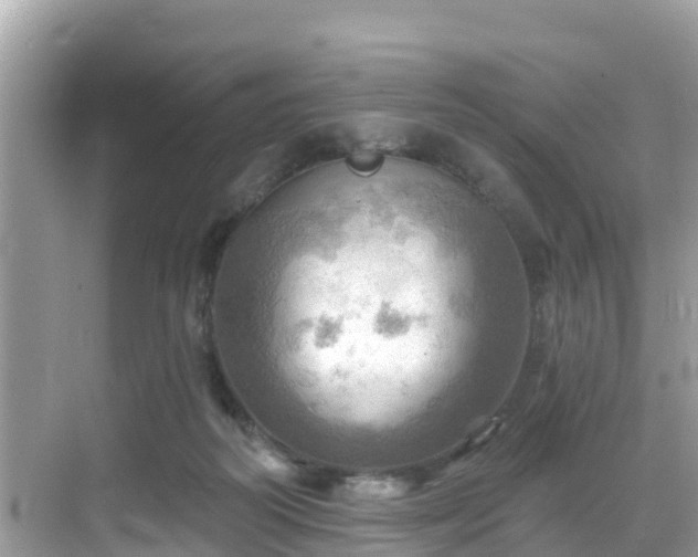 X0000068820218200605081154