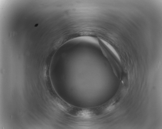 X0000068820219200605081154