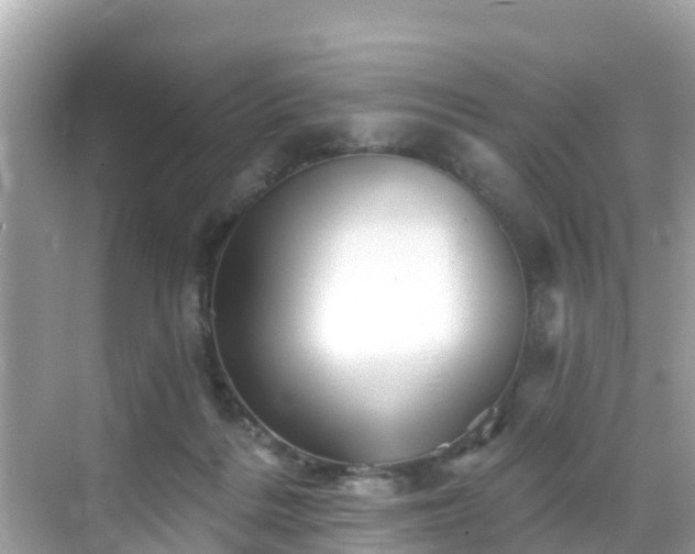 X0000068820220200605081154