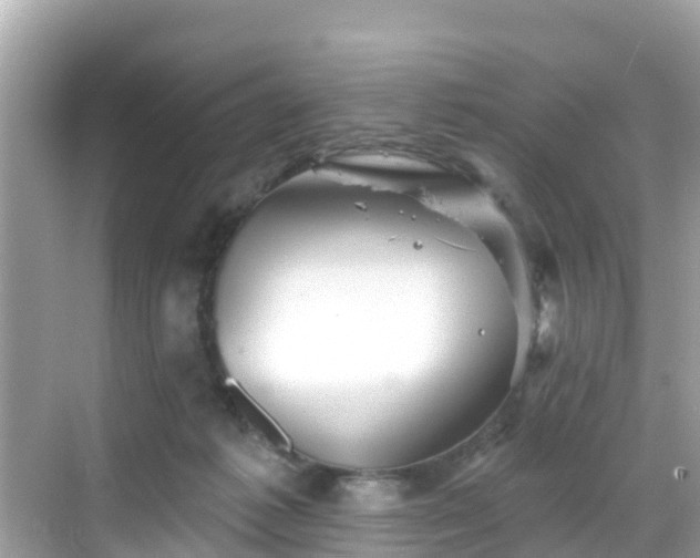 X0000068820221200605081154