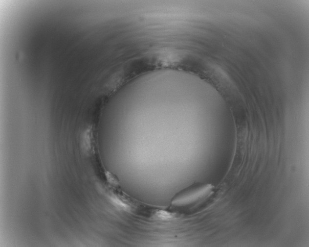 X0000068820222200605081154