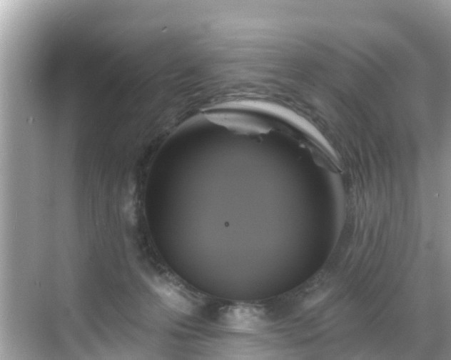 X0000068820223200605081154