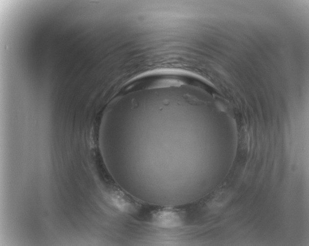 X0000068820224200605081154