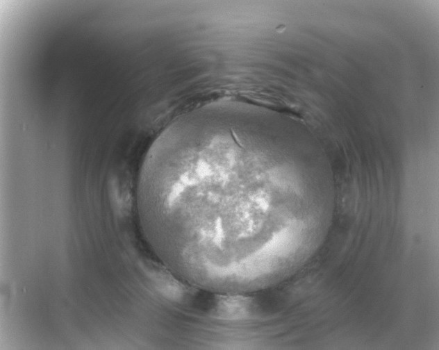 X0000068820226200605081153