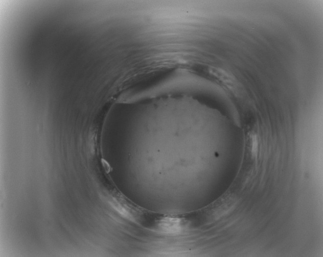 X0000068820227200605081153