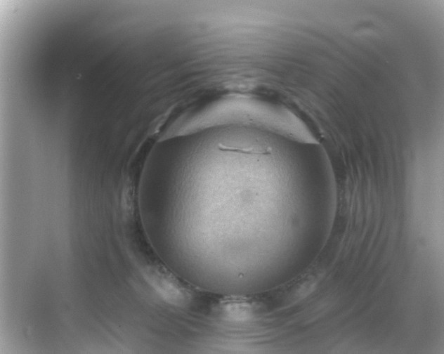 X0000068820228200605081153