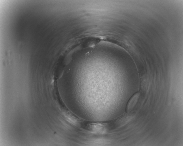 X0000068820229200605081153