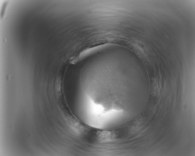 X0000068820230200605081153