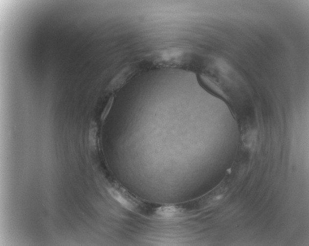 X0000068820231200605081153