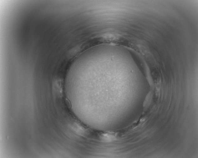 X0000068820232200605081153