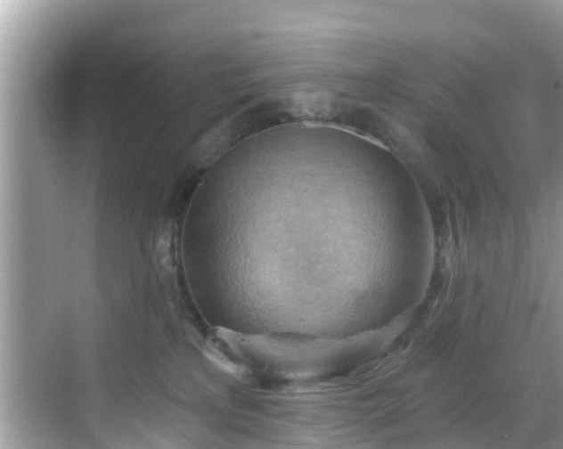 X0000068820233200605081153