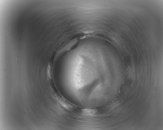 X0000068820234200605081153