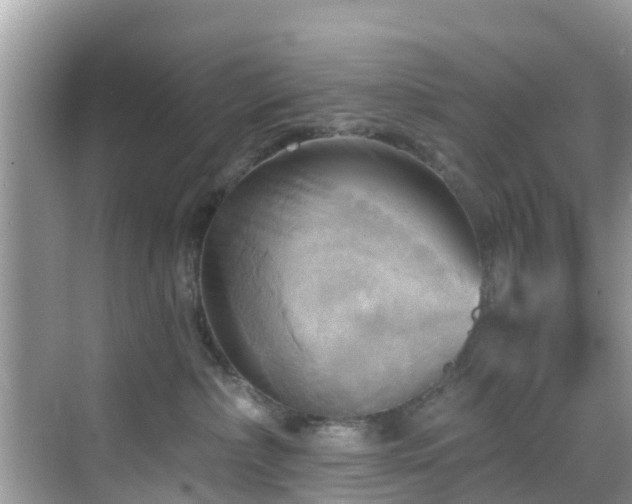 X0000068820236200605081153