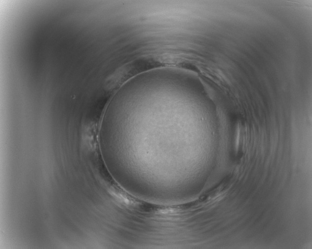 X0000068820237200605081153