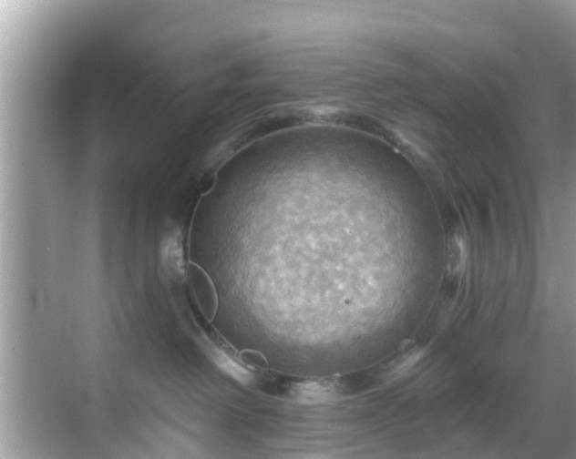 X0000068820238200605081153