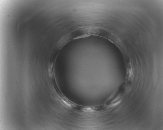 X0000068820239200605081153