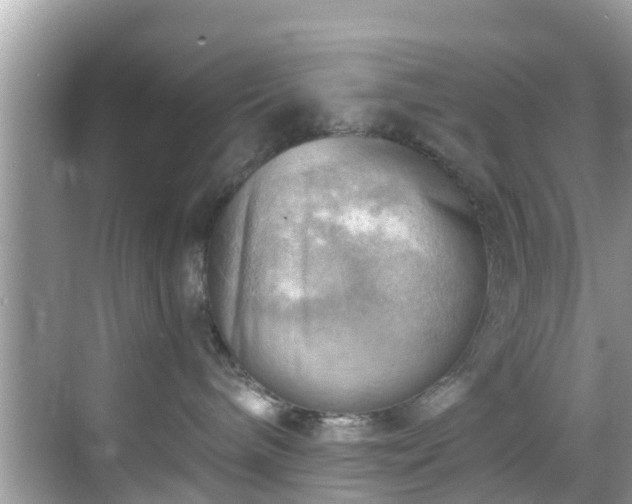 X0000068820240200605081153