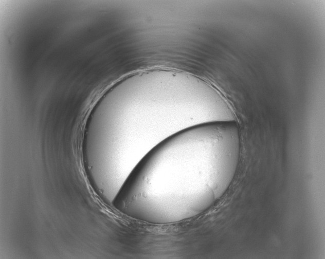 X0000068820241200605081152