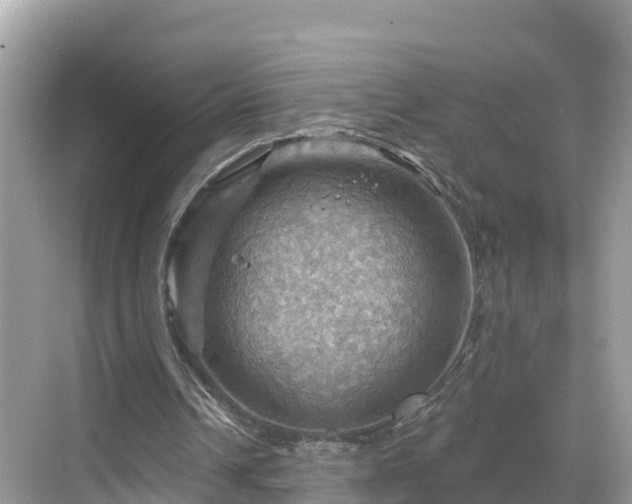 X0000068820242200605081152