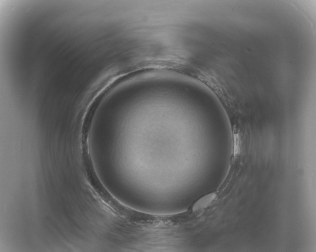 X0000068820243200605081152