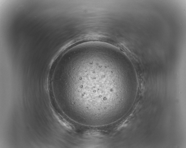 X0000068820244200605081153