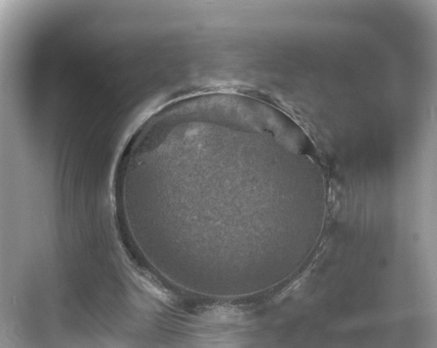 X0000068820246200605081153