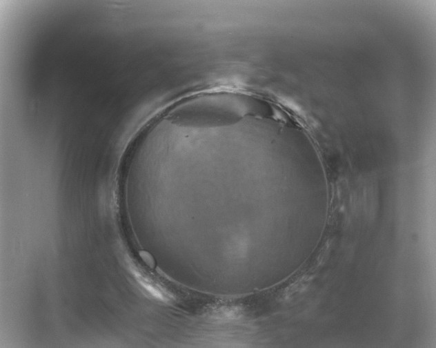 X0000068820247200605081153