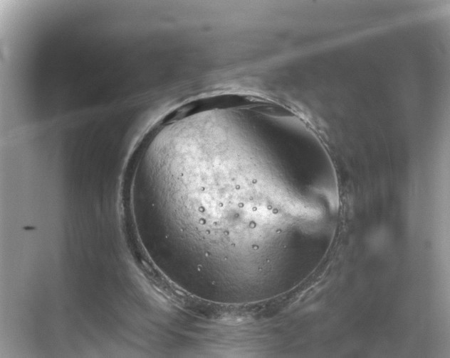 X0000068820248200605081153