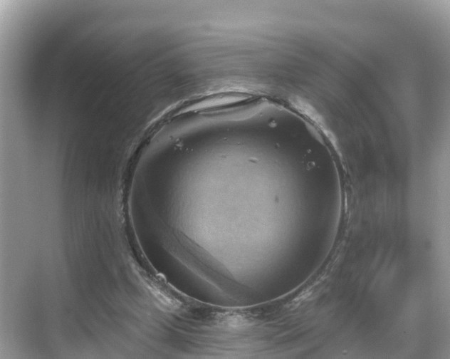 X0000068820249200605081153