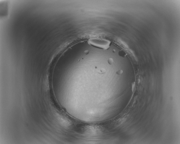 X0000068820250200605081153