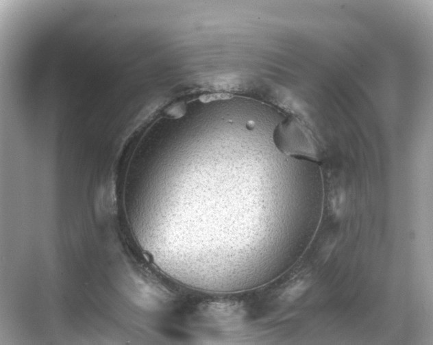 X0000068820251200605081153