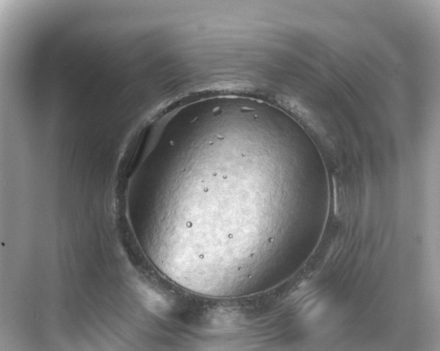 X0000068820252200605081153