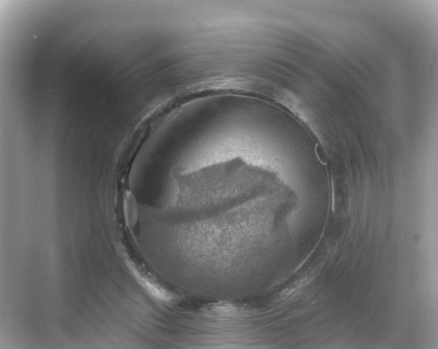 X0000068820253200605081153