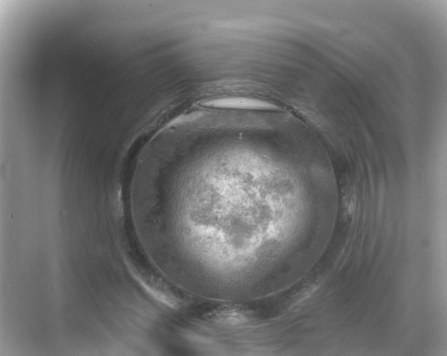 X0000068820254200605081153