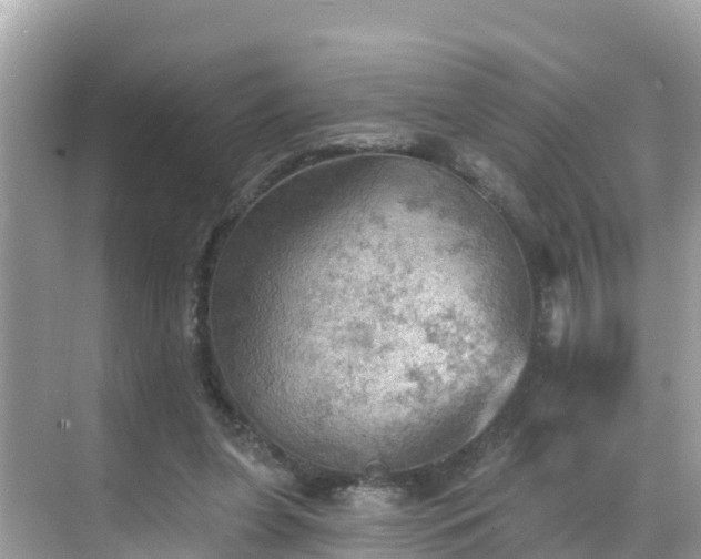 X0000068820255200605081153