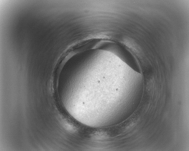 X0000068820256200605081153