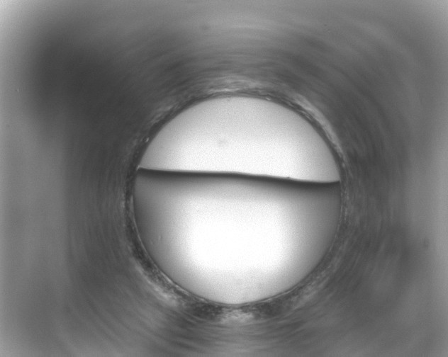 X0000068820257200605081153