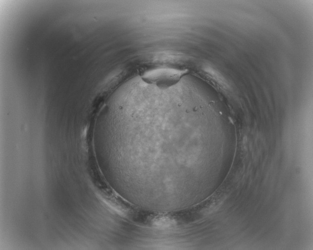 X0000068820258200605081153