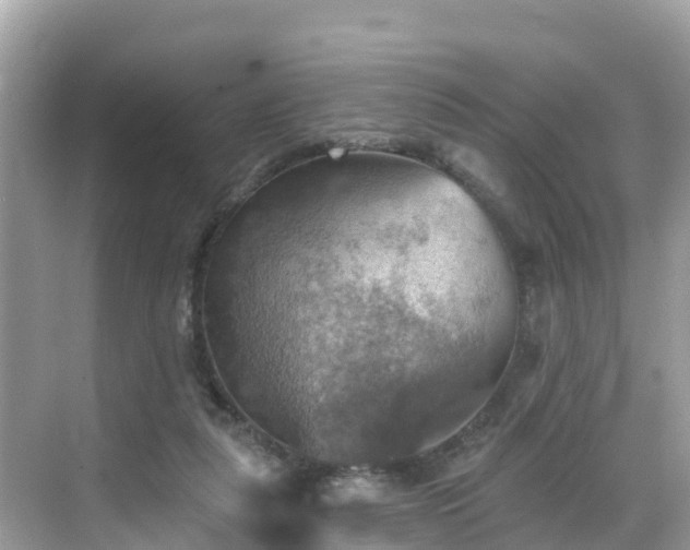 X0000068820259200605081153