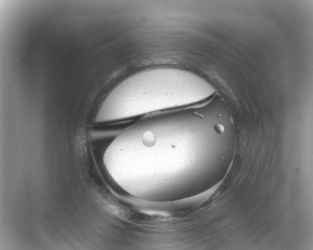 X0000068820260200605081153