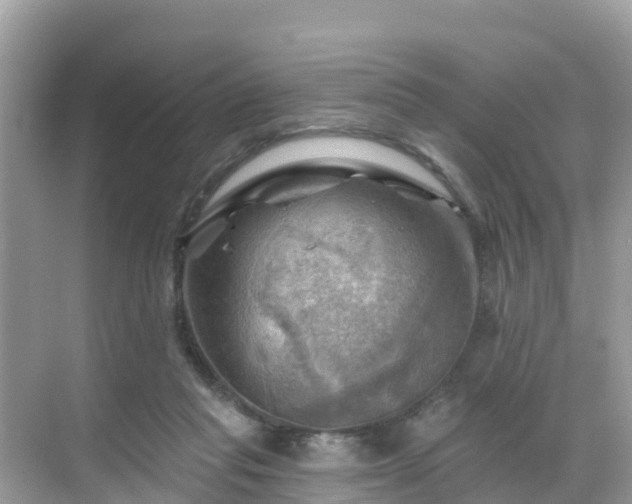 X0000068820261200605081153